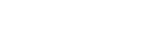 Trinity Strategic Solutions