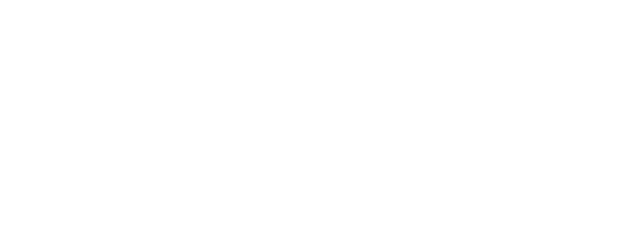 Trinity Strategic Solutions logo