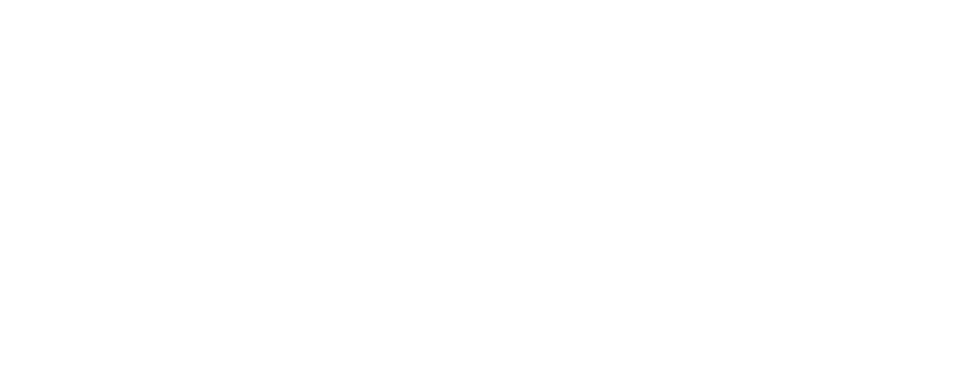 Trinity Strategic Solutions