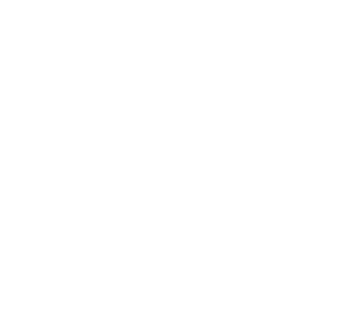 Patten Academy logo, Trinity client